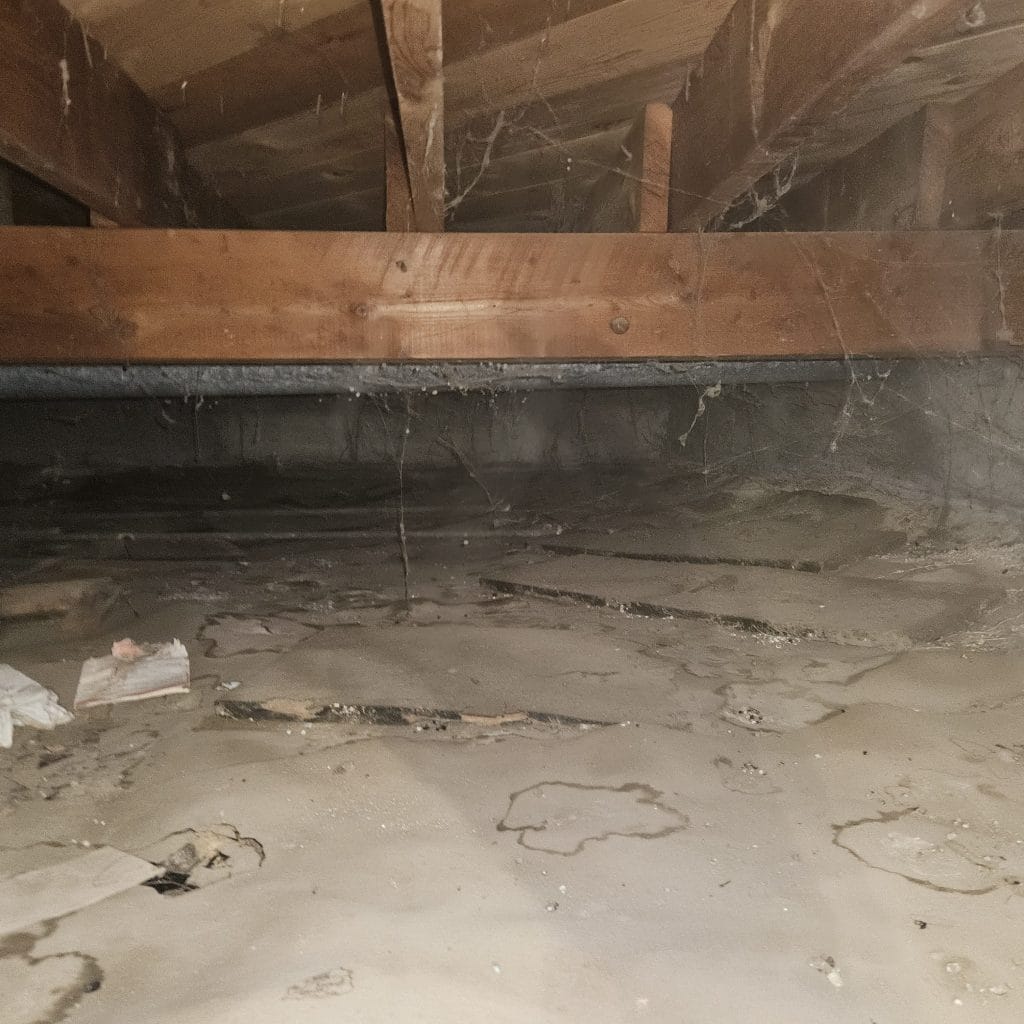 Crawl Space in Need of Encapsulation
